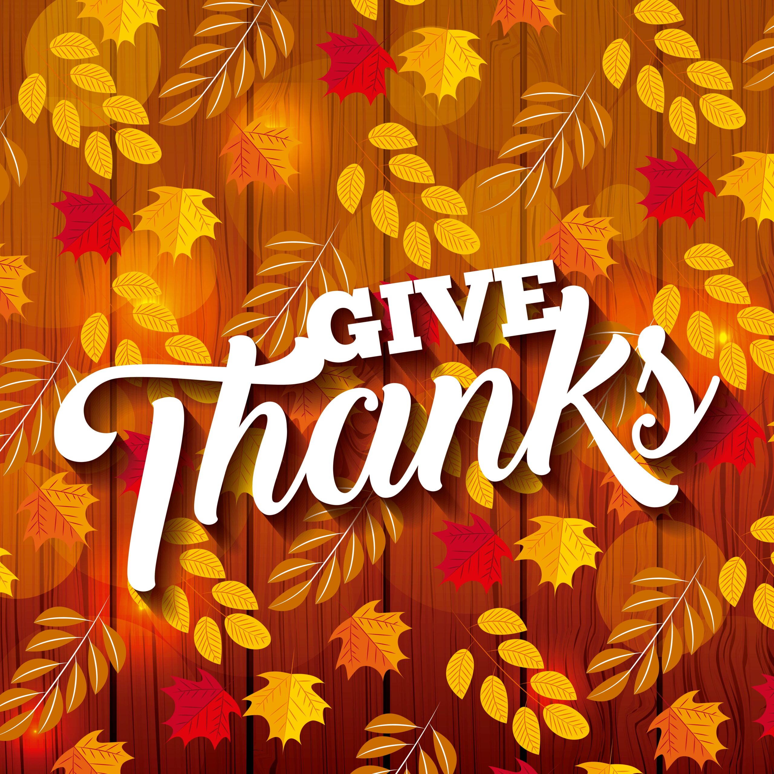 https://www.stgindy.org/wp-content/uploads/2024/11/give-thanks-leafs-on-wood-vector-scaled.jpg